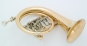 morepic-1